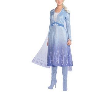Adult Act 2 Elsa Costume - Frozen 2